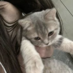 ୨୧ lovely ୨୧