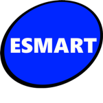 ESMART SYSTEMS INC