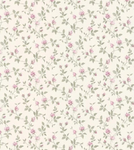 Lauren’s stars!
