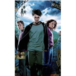 • Harry Potter Fans •