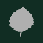 Aspen Financial Holdings