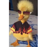 Official Ducky Army