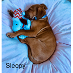 #Stay Sleepy Squad :3