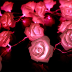 ~Rose’s Garden