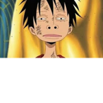 LUFFY FAN 123