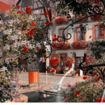 Lucy's Garden