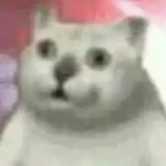 Roblox Top Brawl STARS dNO