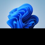 freedy security breach