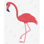 The Flamingos have awoken