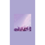 .Lavender Squad.
