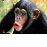 Ciao.....