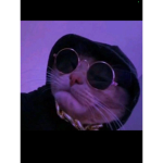 Tik aesthetic