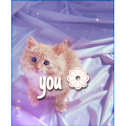 ✰~ you 🏹
