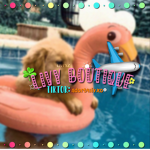 Livy boutique