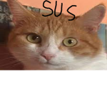 SUS CATSS