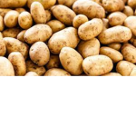 POTATOE CULT