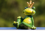 Invisible Frog King