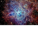 Team_S_Space