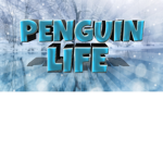 Penguins Life