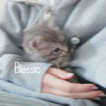 Blessic