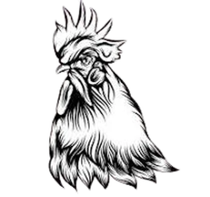 Digital Works Roblox group icon