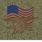 𝐍oob𝐒quad