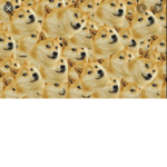 Rrrrrrrooooooobbbbbbbbuuuuuuuuuuxxxxxx