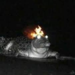 Fire croc games