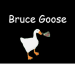 Bruce goose