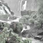 ⋆｡˚୨୧˚｡⋆