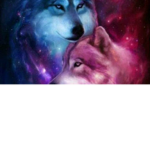 galaxy wolf master