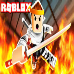 Ninja Streets