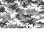 CAMO ROCKS LMAO