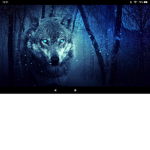 Wolfjenky fan group/friend group