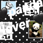 .+*panda pop team*+.