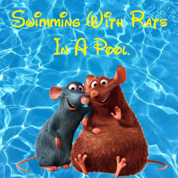 Voice Chat Enabled🔊 Swimming With Rats In A Pool