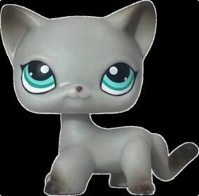 LPS TOWN