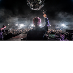 Zedd Fans