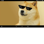 Doge Secret S