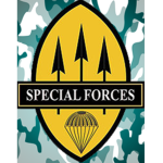 special forces tactical marines