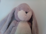 Bunnies are my fav animal