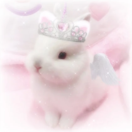 'bunnify Roblox group icon
