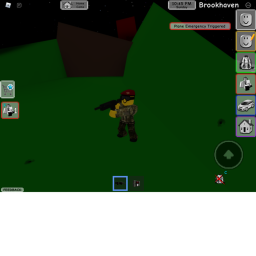 The Brookhaven army's Training place