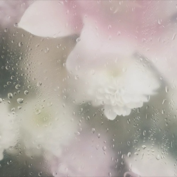 ♡