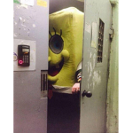 Vîbè grōüp