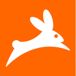 TeamRabbits