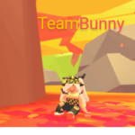 Team bunny fan group