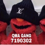 QMA GANG