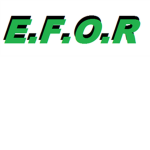 E.F.O.R epic forces of roblox