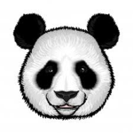 Pandy PLLLLL